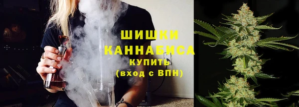 гашик Надым