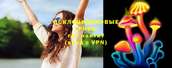сатива Нефтегорск