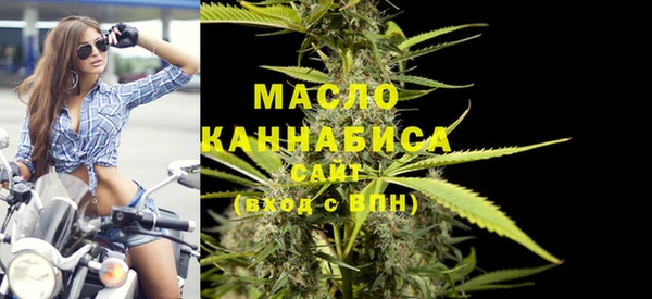 гашик Надым