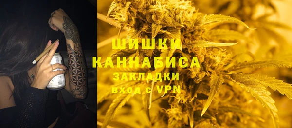 гашик Надым