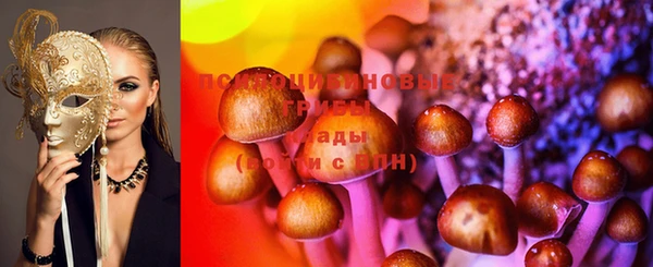 прущие грибы Навашино