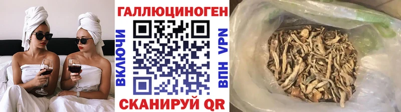 Галлюциногенные грибы Psilocybine cubensis  блэк спрут   Симферополь 